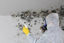 Ketchikan, AK Mold Removal & Remediation Company